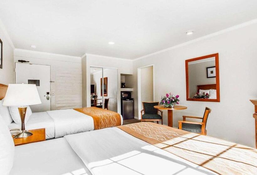 فندق The Inn At 1252 Monterey