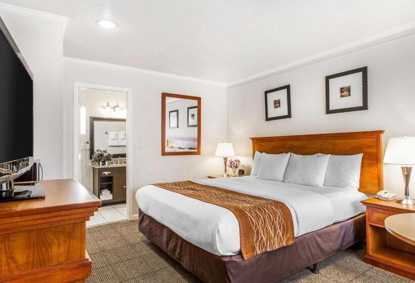 فندق The Inn At 1252 Monterey