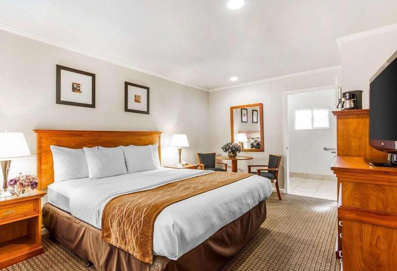 فندق The Inn At 1252 Monterey