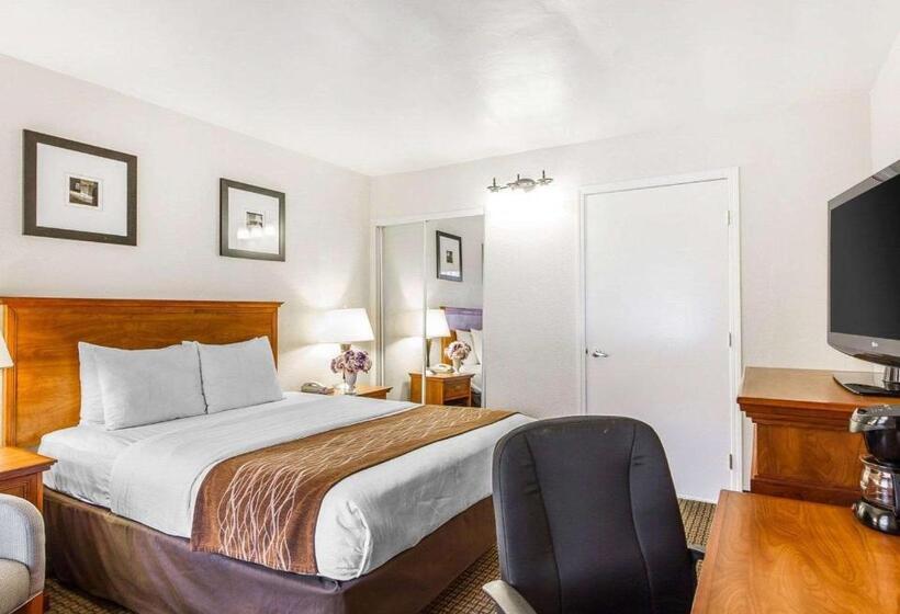 فندق The Inn At 1252 Monterey