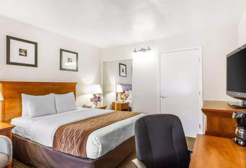 בית מלון כפרי The Inn At 1252 Monterey