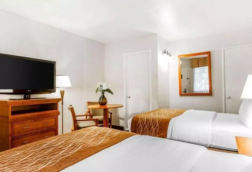 בית מלון כפרי The Inn At 1252 Monterey