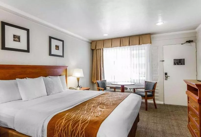 בית מלון כפרי The Inn At 1252 Monterey