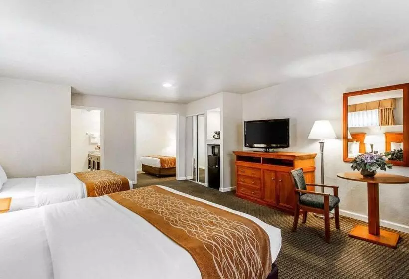 בית מלון כפרי The Inn At 1252 Monterey