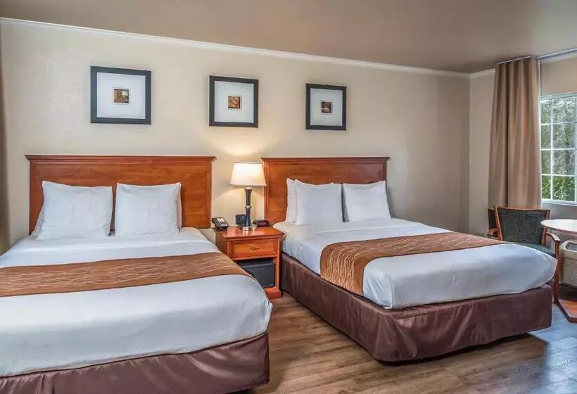 בית מלון כפרי The Inn At 1252 Monterey