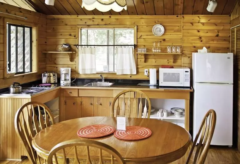 Mineral Springs Resort