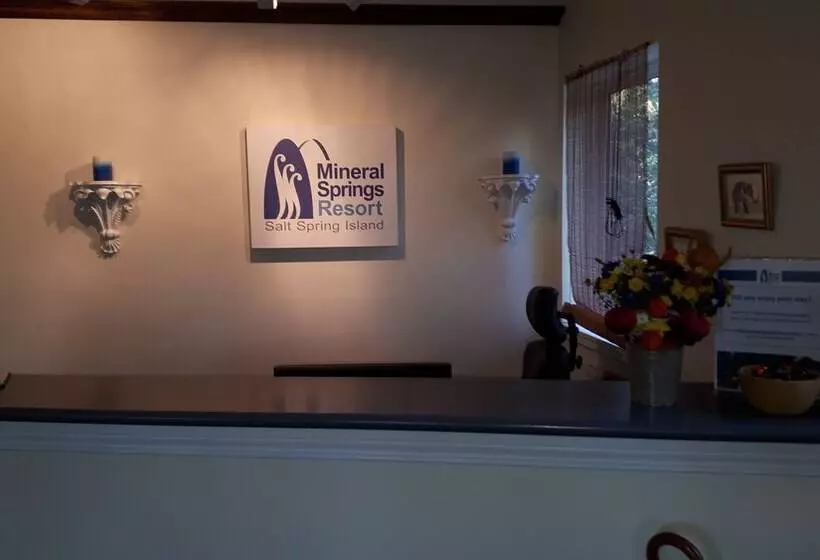 Mineral Springs Resort