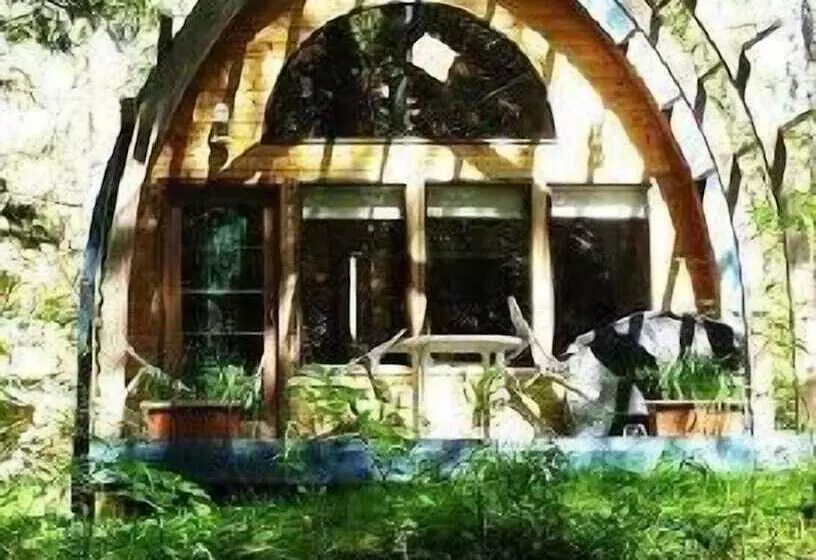 Mineral Springs Resort