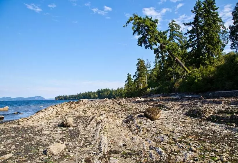 Mineral Springs Resort