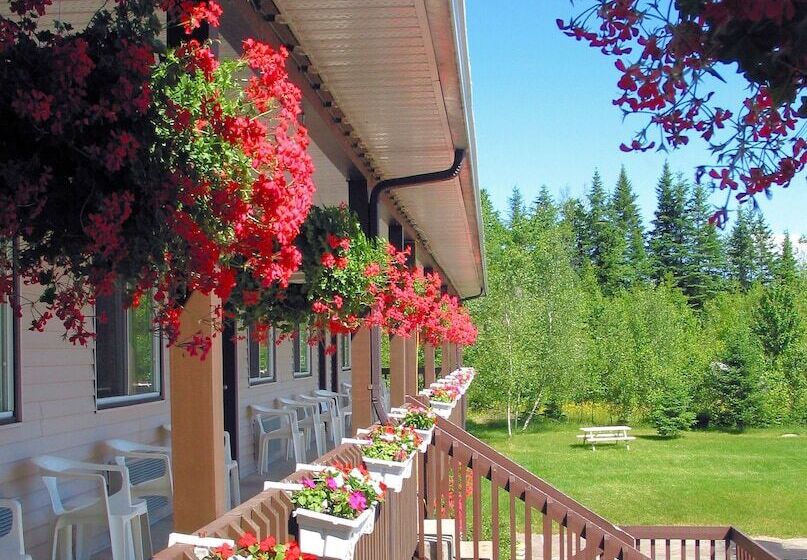 Motel Le Radisson De Val David