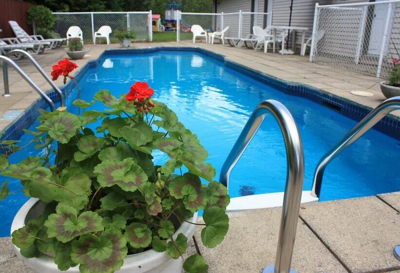 Motel Le Radisson De Val David