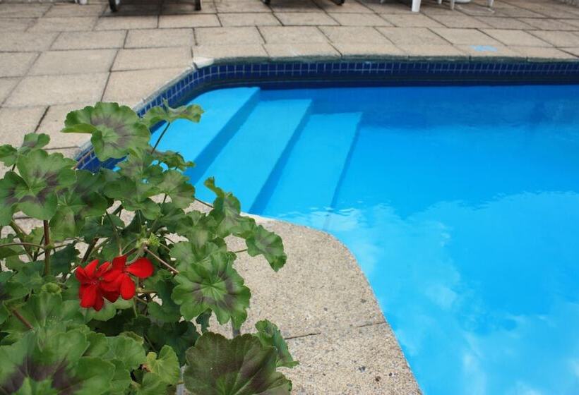 Motel Le Radisson De Val David