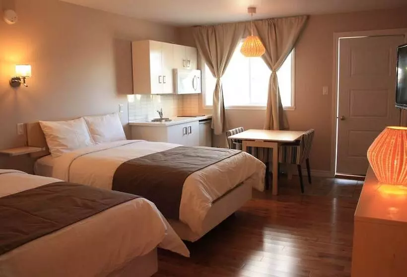 Motel Le Radisson De Val David