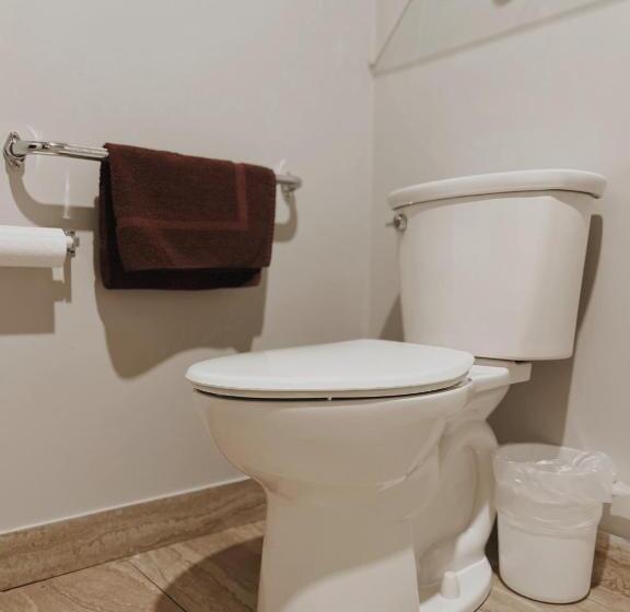 فندق Big Bird Inn