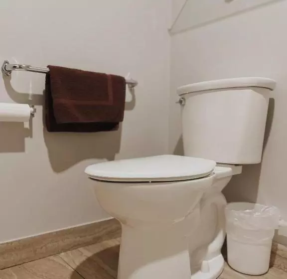 Отель Big Bird Inn