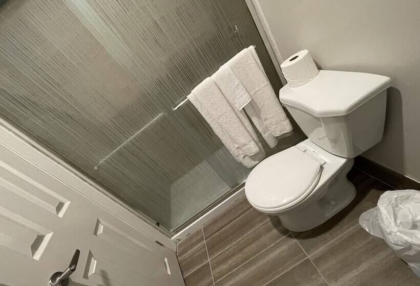 فندق Big Bird Inn