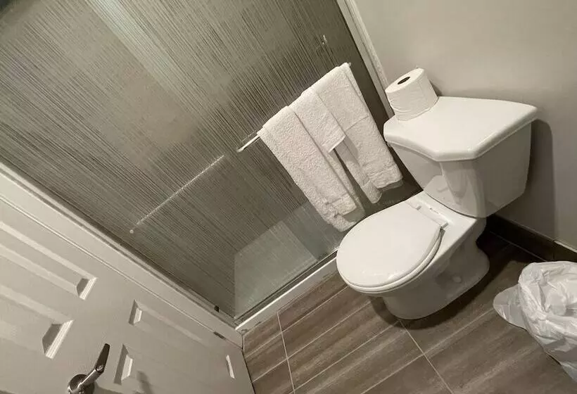 Отель Big Bird Inn