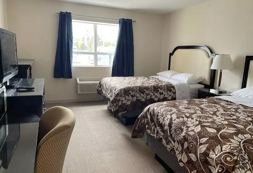 Отель Big Bird Inn