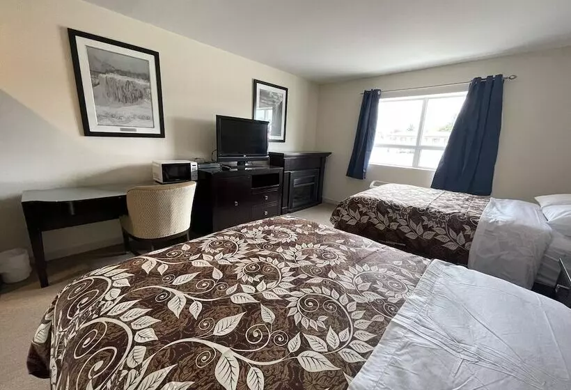 Отель Big Bird Inn