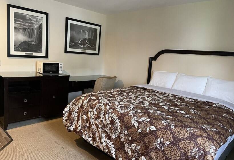 فندق Big Bird Inn