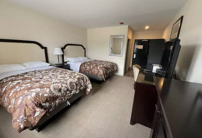 Отель Big Bird Inn