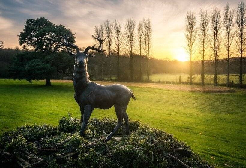 בית מלון כפרי Cabra Castle