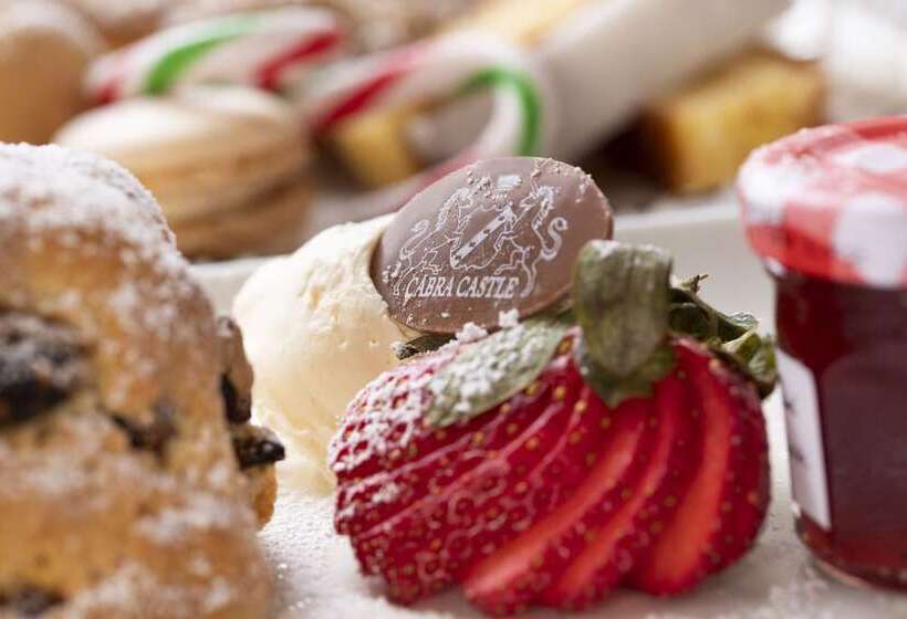 בית מלון כפרי Cabra Castle