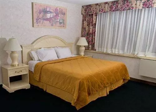 Отель Comfort Inn Clifton Hill