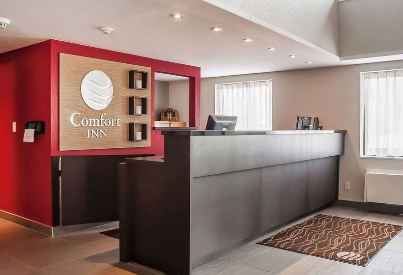 호텔 Comfort Inn