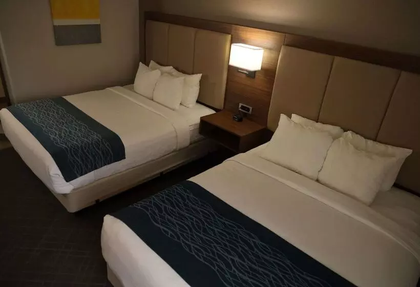 בית מלון כפרי Comfort Inn & Suites