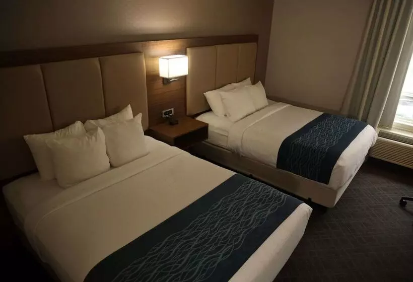 בית מלון כפרי Comfort Inn & Suites