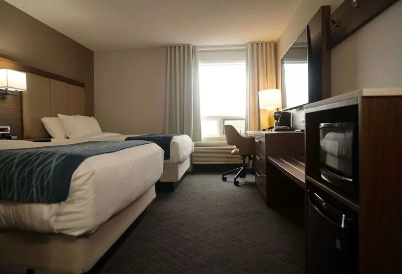 בית מלון כפרי Comfort Inn & Suites