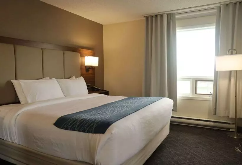 בית מלון כפרי Comfort Inn & Suites