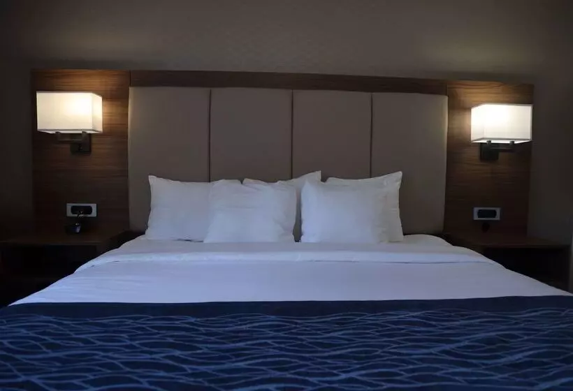 בית מלון כפרי Comfort Inn & Suites