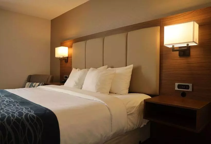 בית מלון כפרי Comfort Inn & Suites