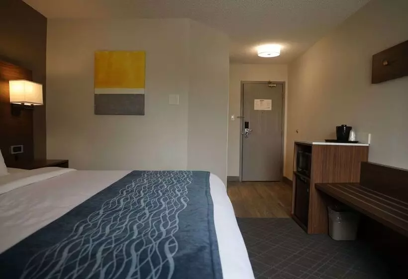 בית מלון כפרי Comfort Inn & Suites