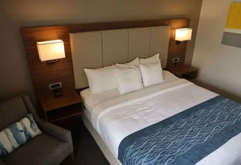 בית מלון כפרי Comfort Inn & Suites