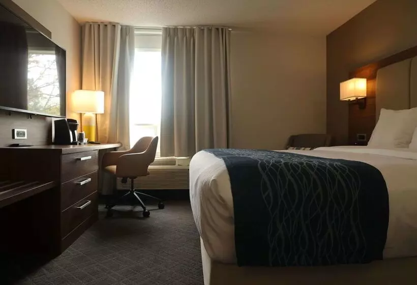 בית מלון כפרי Comfort Inn & Suites