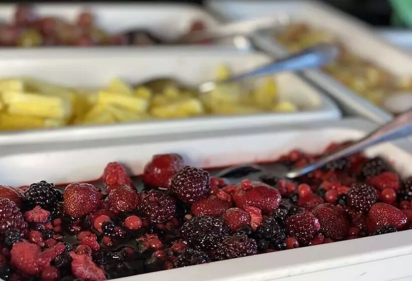 Gaia Hotel Basel   The Sustainable 4 Star