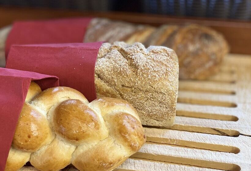 Gaia Hotel Basel The Sustainable 4 Star