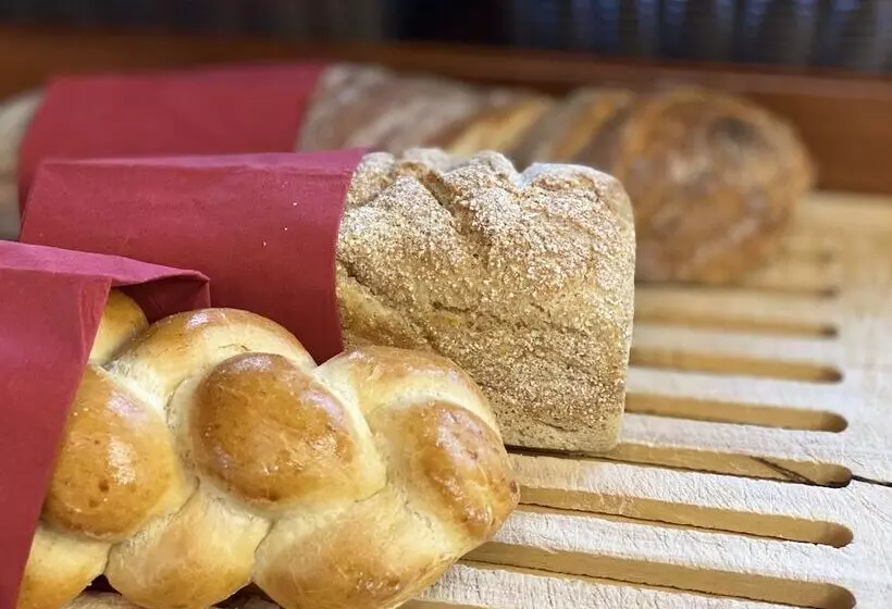 Gaia Hotel Basel   The Sustainable 4 Star