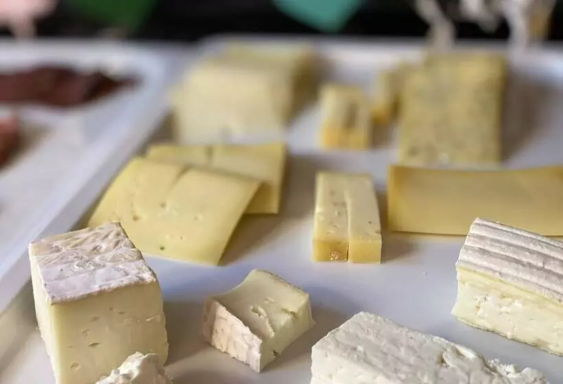 Gaia Hotel Basel   The Sustainable 4 Star