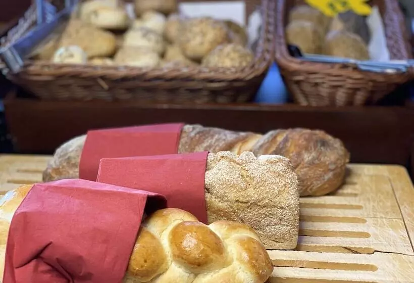 Gaia Hotel Basel   The Sustainable 4 Star