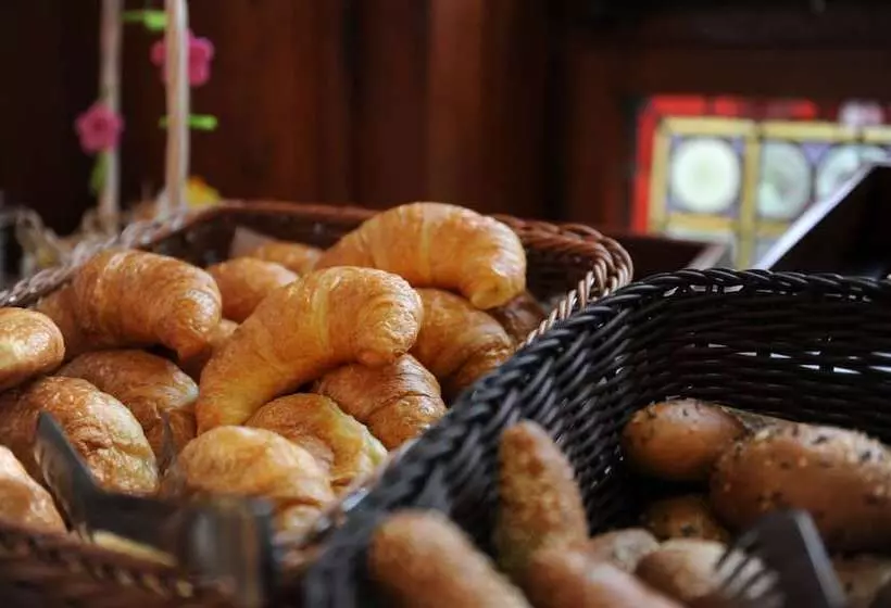 Gaia Hotel Basel   The Sustainable 4 Star