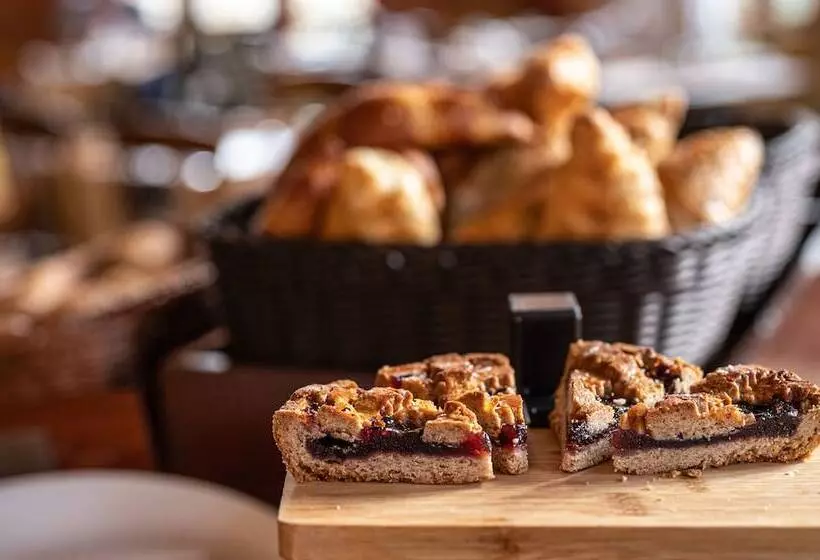 Gaia Hotel Basel   The Sustainable 4 Star