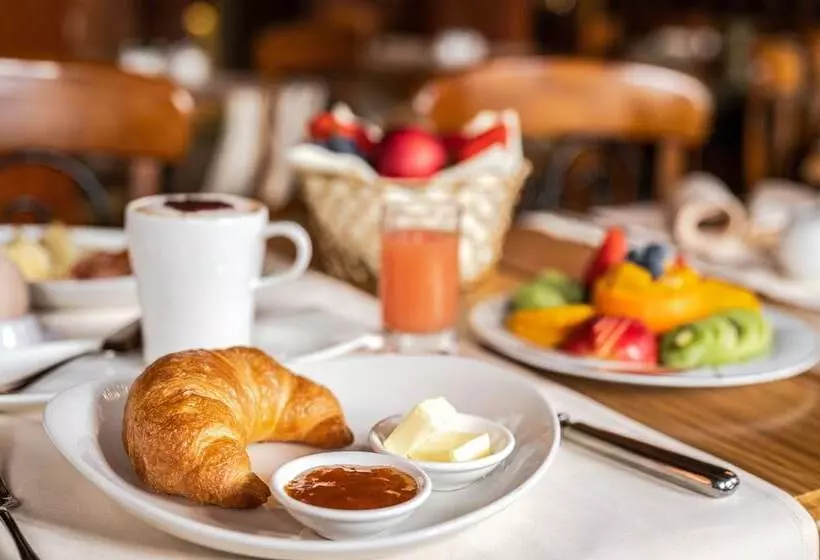 Gaia Hotel Basel   The Sustainable 4 Star