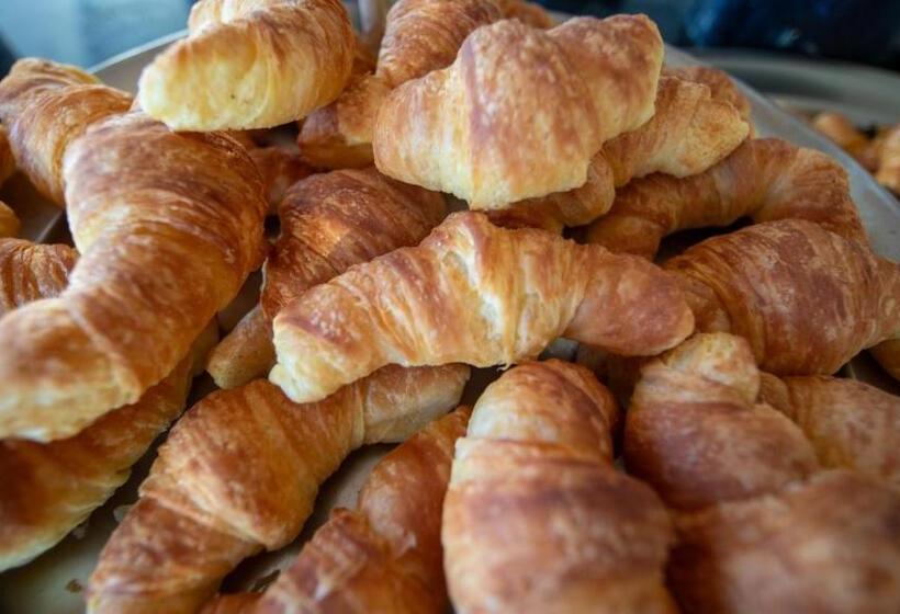 هتل Ghazala Beach