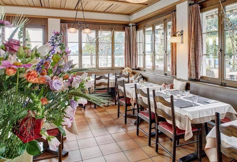 Hotel Winkelried Am See