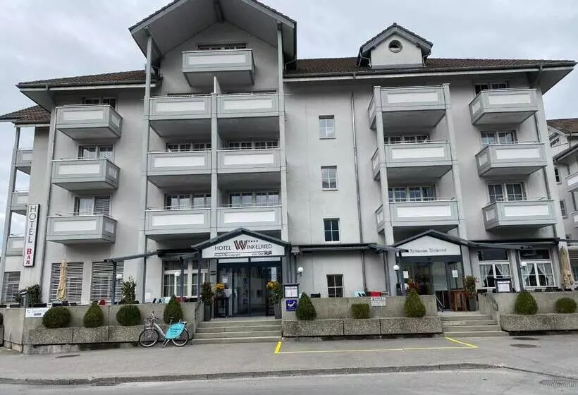 Отель Winkelried Am See