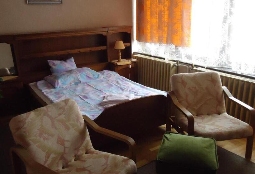 ホテル Cola Panzió